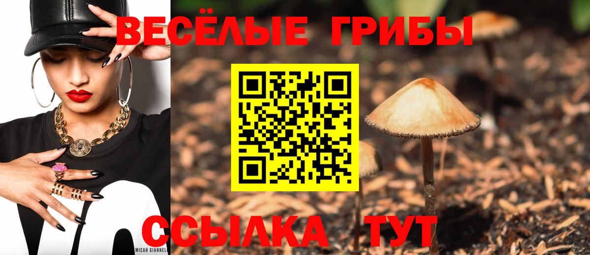 цена   Вход с VPN  Лобня  Галлюциногенные грибы прущие грибы 